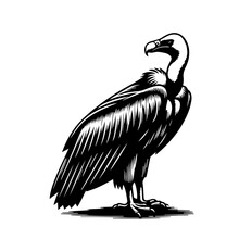 Vulture Logo Monochrome Design Style
