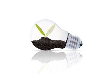 Wall Mural - a small tree grows on the floor with energy-saving light bulbs in a green natural environment enviro