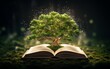 A tree grows from an open book. Open book on green grass.