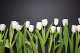 Fototapeta Tulipany - bouquet of white tulips on a black background