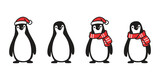 Fototapeta Pokój dzieciecy - penguin vector christmas santa claus hat icon scarf bird logo cartoon character doodle illustration symbol design isolated