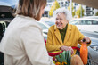 © Halfpoint - Mature granddaughter helping grandmother load groceries in to the car. Senior woman shopping at the shopping center.