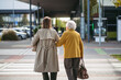 © Halfpoint - Rear view of mature granddaughter walking arm in arm from shop. Caregiver carrying groceries to senior woman's car. Elderly lady shopping at the shopping center, needing help loading groceries into