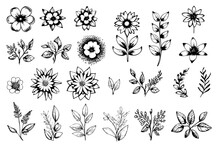 Floral Vector Element Made Wildflowers. Botanical Flowers Collection With Pink Flowers, Leaf Branches, Wreath, Leaves