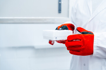 Wall Mural - box with frozen cells in an infectious disease prevention laboratory