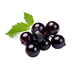 Blackcurrant isolated on transparent background