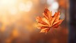 © vectorwin - leaf scenic day leaves close illustration beautiful natural, green nobody, background colorful leaf scenic day leaves close