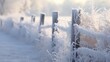 weather white hoarfrost scenic hoarfrost illustration frost scene, sky sunlight, frozen hoar weather white hoarfrost scenic hoarfrost