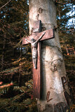 Fototapeta  - Krzyż na drzewie