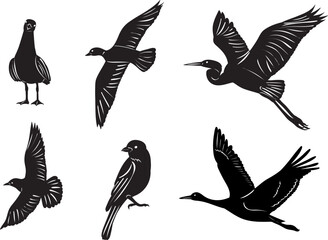 Sticker - silhouette of birds of different breeds set vector