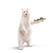 un ours polaire qui tiens un poisson gardon  dans la main