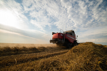 Wall Mural - Harvester working in wheatfield at sunset.