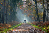 Fototapeta  - Jesienny spacer po lesie