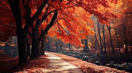 amazing maple october concept tranquil illustration walkway autumn, background green, backlit sunray