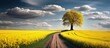 In the tranquil polder landscape a winding road leads the way through fields of vibrant yellow dandelions while the perspective of towering trees and blooming flowers accentuate the beauty o