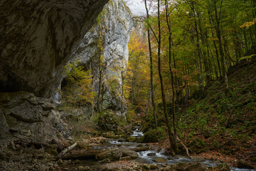 Sticker - Cave opening in the forest