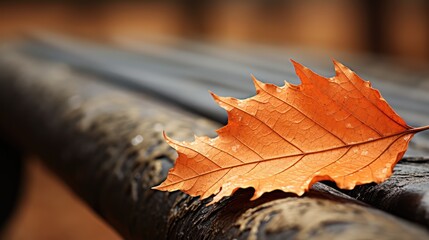 Wall Mural - nature park orange golden close illustration tree leaf, green color, red plant nature park orange golden close