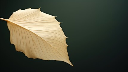 Canvas Print - A single leaf on a black background, AI