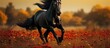In the stunning autumn landscape a beautiful black horse with a vibrant coat color is running freely through the meadow enhancing the beauty of nature with its magnificent graceful body an 