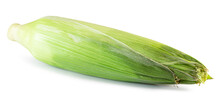 Corn Cob Isolated On The White Background. Clipping Path
