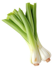 Scallion green onions or spring onions isolated on transparent background PNG.