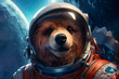bear with astronaut suit