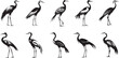 set of sandhill crane silhouette.