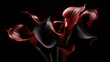  a bouquet of red and black calla lilies in a glass vase on a black background with a reflection of the flowers in the vase on the right side of the picture.  generative ai