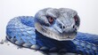  a large blue snake with red eyes on it's head is shown from the neck up to the head of the snake, it's head, on a white background.  generative ai