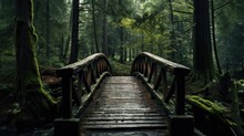 Wooden Bridge In The Middle Of Forest Landscape Photography