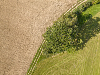 Wall Mural - Aerial view of countryside landscape with path through farming fields.