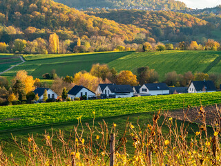 Wall Mural - Neubaugebiet in herbstlicher Landschaft