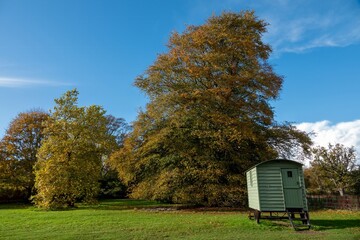 Poster - rustic old shepherds hut with colourful Autumn trees and blue sky in the background