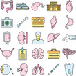 © anatolir - Transplantation organ icons set. Outline set of transplantation organ vector icons thin line color flat on white