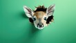  a deer is poking its head through a hole in a green wall with a hole in the middle of the wall that has a deer's head sticking out of it.