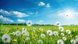 Against a vibrant blue sky with fluffy white clouds, a field of dandelions stands tall.