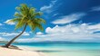 Beautiful palm tree on tropical island beach on background blue sky with white clouds and turquoise ocean on sunny day