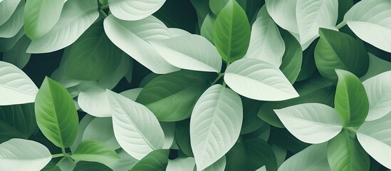 The abstract background art showcases a beautiful green tree leaf pattern with an isolated texture creating a mesmerizing white and green color combination that resembles the beauty of natu