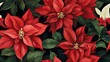  a bunch of red poinsettias with green leaves on a black background with a white flower in the center.