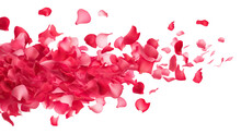 Dance Of Floating Pink Petals In The Air, Cut Out