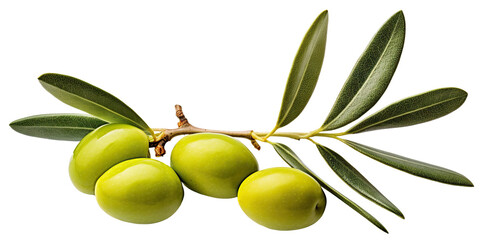 Wall Mural - Delicious olives with leaves, cut out