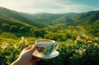 A hand cradling a cup of tea, its soothing aroma wafting against a landscape