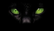 Fluffy kitten staring with spooky green eyes on black background generated by AI