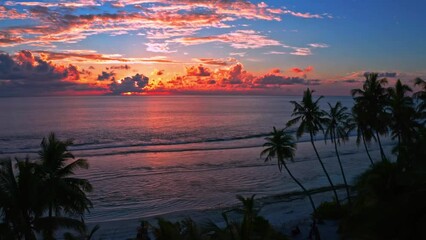 Canvas Print - View of stunning orange and blue sunset sky over the sea and palms on tropical island