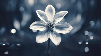 Wall Mural - A white flower is shown in black and white, AI