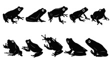 Silhouettes Of Frogs, Frog Silhouette Collection