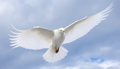 Wall Mural - Seagull gliding mid air, spread wings symbolize freedom and tranquility generated by AI