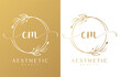 Letter CM Beauty Logo with Flourish Ornament