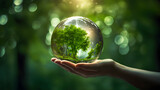Fototapeta  - Human hand holding glass ball with tree inside. Environment conservation concept.