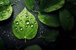 co2 reduction icon on green leaf with water drops for reducing co2, carbon footprint and carbon credits. generative ai